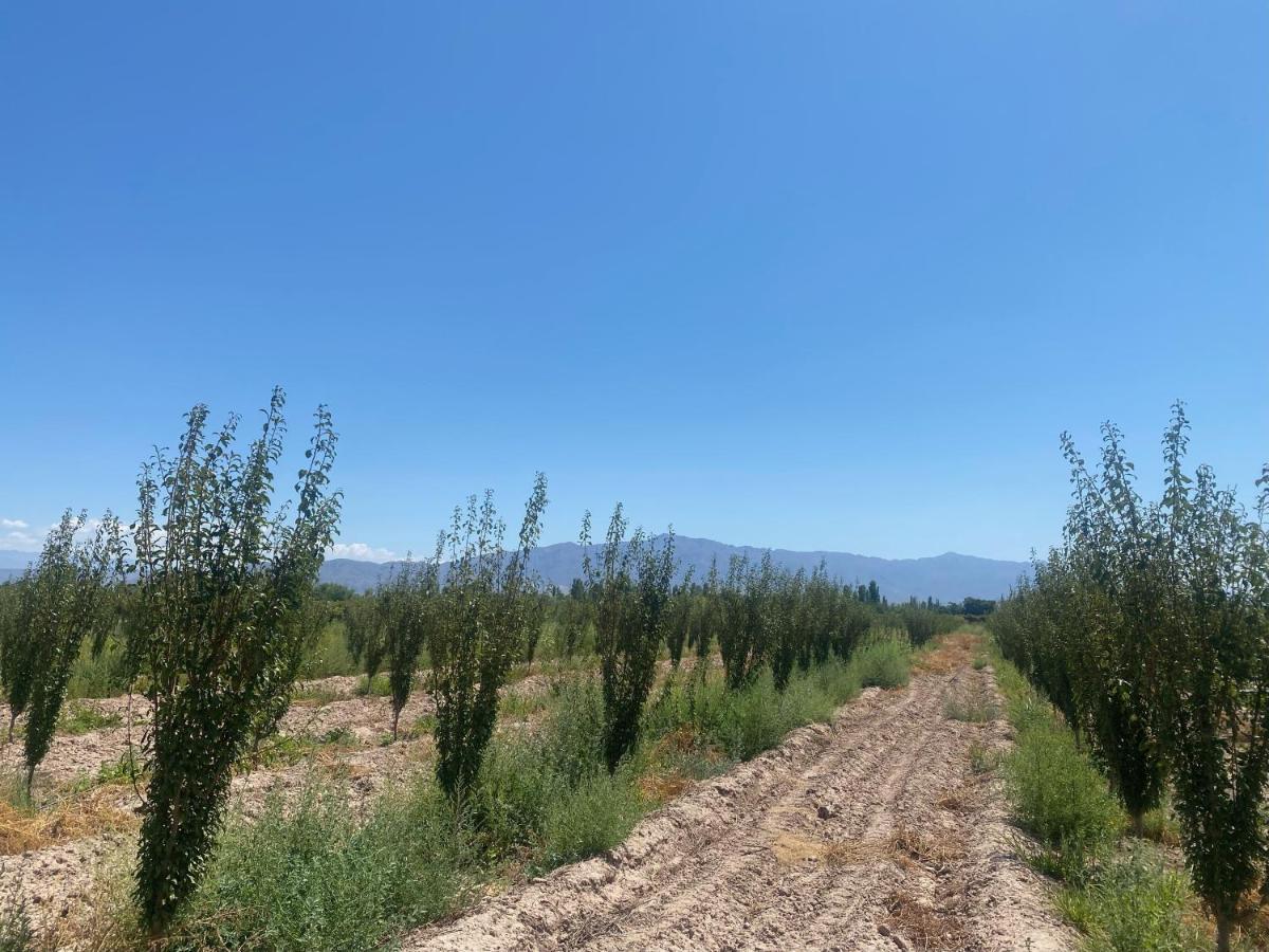 El Rincon Del Nene Villa Albardon Bagian luar foto